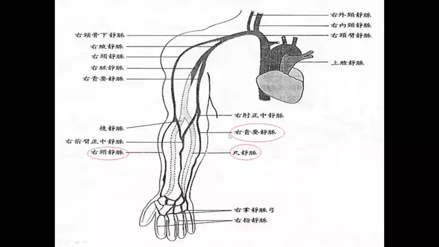 教育訓練課程-臨床標本收集及檢驗單書寫