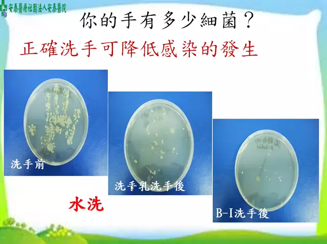 113年度實習生課程-感染管制