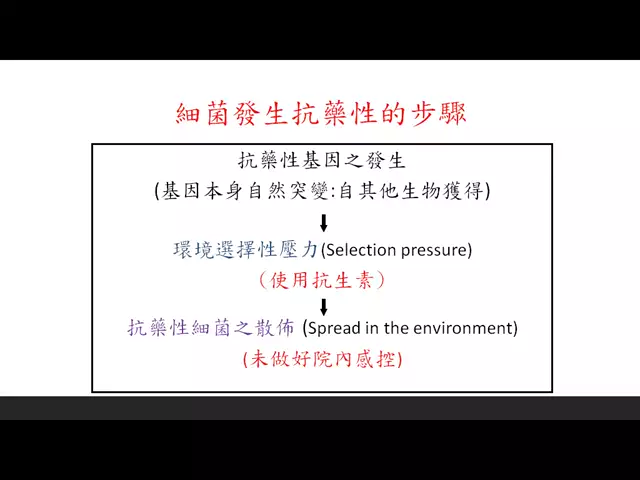 112-10-11賴炳彰-常用抗藥性細菌簡介與治療