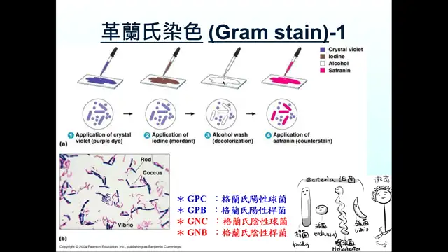 1140226醫院環境清潔與抗藥性菌種之管制措施(含群突發處理)