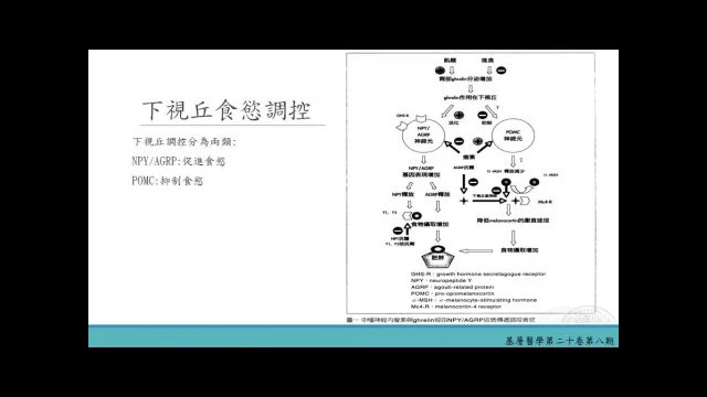 減重營養學