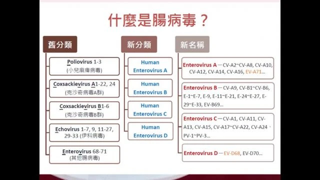 [護理]實習生【兒 科】專科影音課程-腸病毒防治