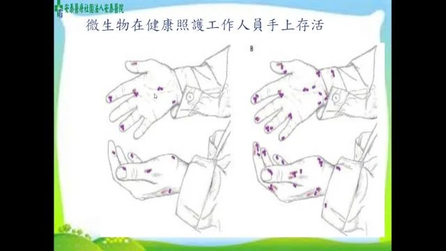 114年度實習生課程-感染管制