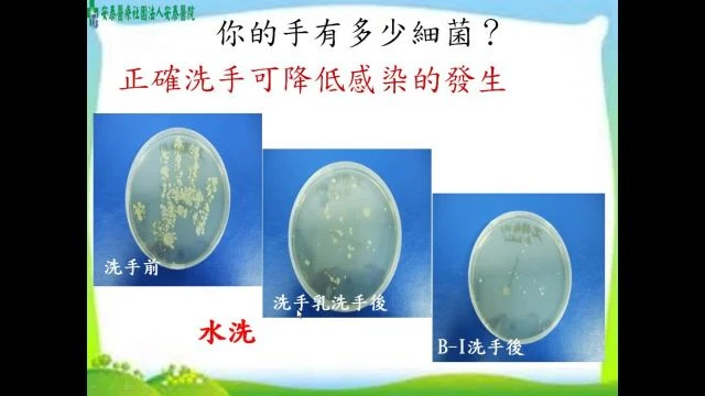 113年度實習生課程-感染管制